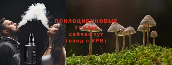 мяу мяу мука Майский