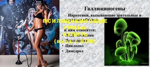 хмурый Тавда