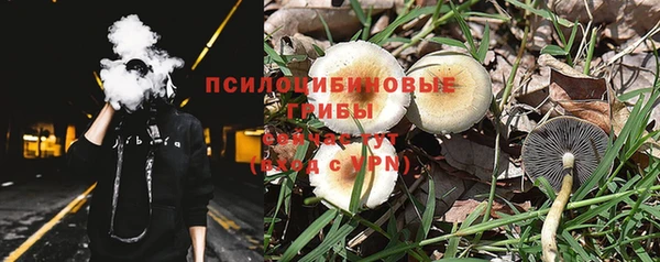 молекула духа Медногорск